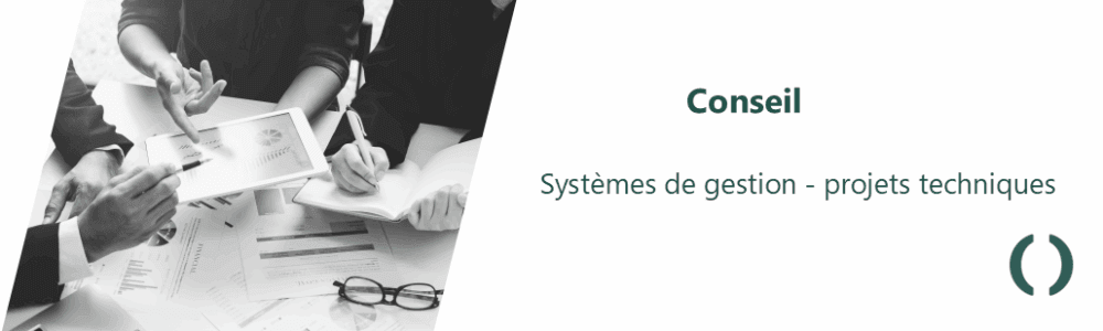 Conseil par LEOMA GmBH. Systèmes de gestion, expertises et formations!